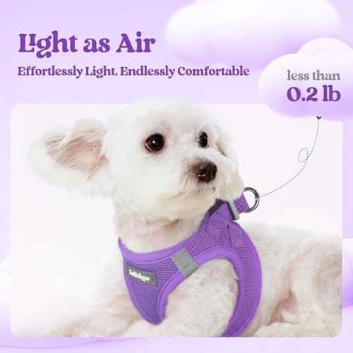 rabbitgoo Dog Harness Medium Sized and Leash Set, Step-in Puppy Pet Vest - Image 3