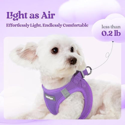 rabbitgoo Dog Harness Medium Sized and Leash Set, Step-in Puppy Pet Vest - Image 3