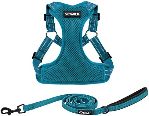 Best Pet Supplies Voyager Adjustable Step-in Flex Breathable Mesh Dog Harness for Small Medium Large Dogs Leash Set (Turquoise), XS by BestPetSuppliesLLC