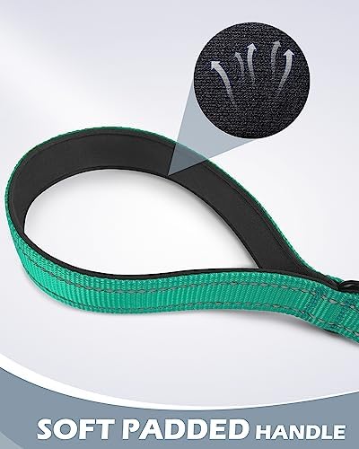 Joytale Short Dog Leash for Close Control & Training, 24", Teal - Image 3