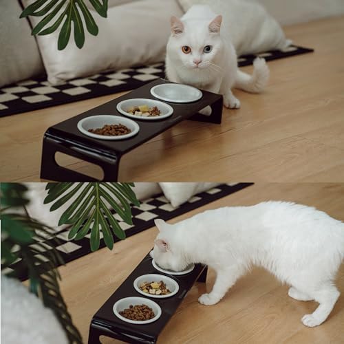 Tilted Raised Elevated Food and Water Bowls Stand for Cat or Small Dogs - Puppy's Clear Acrylic Stainless Steel 3 Dishes Holder for Boy or Girl Pet by WBhonghui (Black-3bowls) - Image 5
