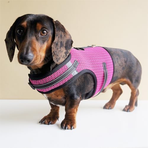 Mini Dachshund Harness – No Armpit Rub, Escape Proof, Reflective, No Pull Vest-Style Dachshunds Harness,Breathable Mesh Dog Harness (Rose Red, XS,Fit Puppy&Rabbit Dachshund) - Image 7