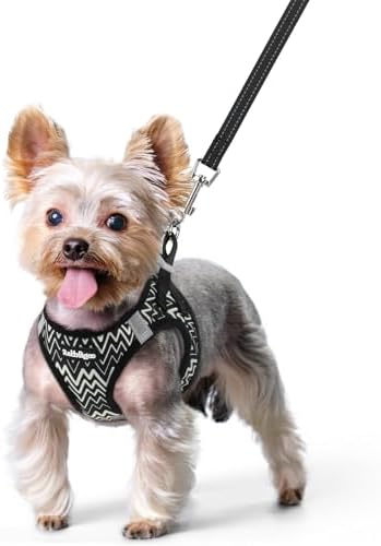 rabbitgoo Dog Harness Small Sized and Leash Set, Step-in Puppy Pet Vest by rabbitgoo