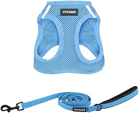Best Pet Supplies Voyager Step-in Air All Weather Mesh Harness and Reflective Dog 5ft Leash Combo with Neoprene Handle, for Small, Medium and Large Breed Puppies - Baby Blue, Large by BestPetSuppliesLLC