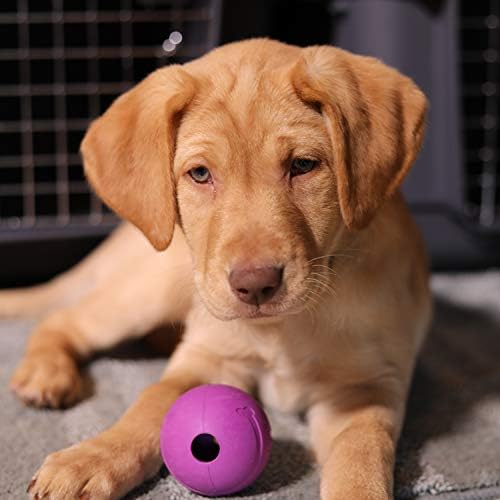 Chew King Fetch Balls Extremely Durable Natural Rubber Toy 2.5 inch, 8-pack (CM-0264-CS01) - Image 4