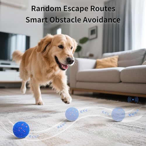 SCHITEC Interactive Dog Toy Ball, Automatic Moving & Bouncing Ball (Blue) - Image 2