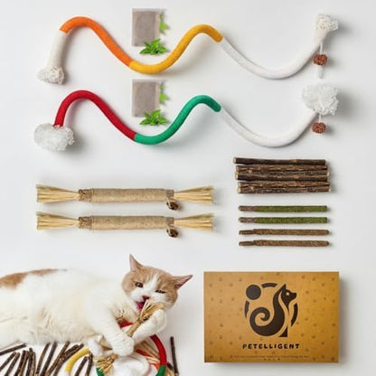 Silvervine Chew Sticks & Cat Chew Long Rope for Cats, 12 Pack Natural Catnip Chew Toys - Image 2
