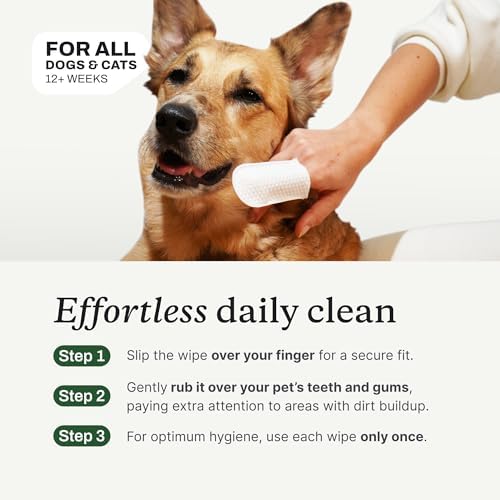 PetLab Co. Dental Finger Wipes for Dogs, Teeth Cleaning, 30 Wipes - Image 3