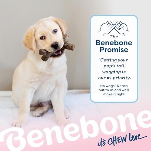 Benebone Puppy Maplestick Dog Chew Toy, Made in USA, Real Maple Wood Flavor, Small, Brown - Image 6