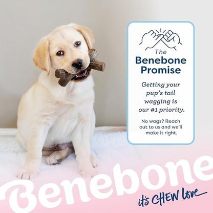 Benebone Puppy Maplestick Dog Chew Toy, Made in USA, Real Maple Wood Flavor, Small, Brown - Image 6