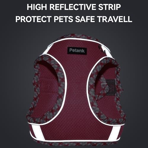 Petank Step in Dog Harness No Pull and Leash for Small Medium Dogs Cats. - Image 6
