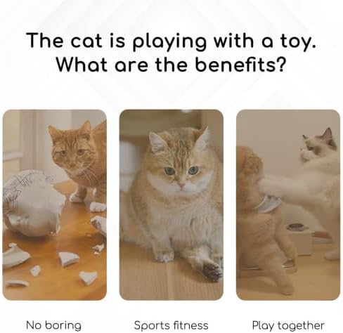 Interactive Cat Toys, Rechargeable with Auto Play and Bird Chirps - Image 6