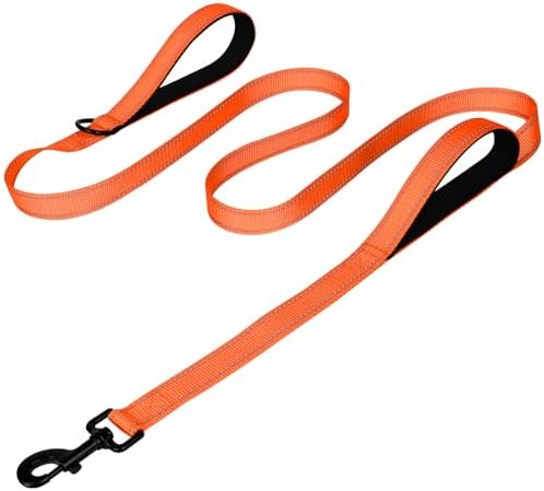Joytale Dog Leash for Large Dogs that Pull, Double Handle, 4FT, Orange by Joytale