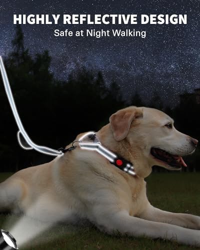 FunTags Martingale Dog Collar and Leash Set for Medium Dogs, Locking Buckle - Image 5