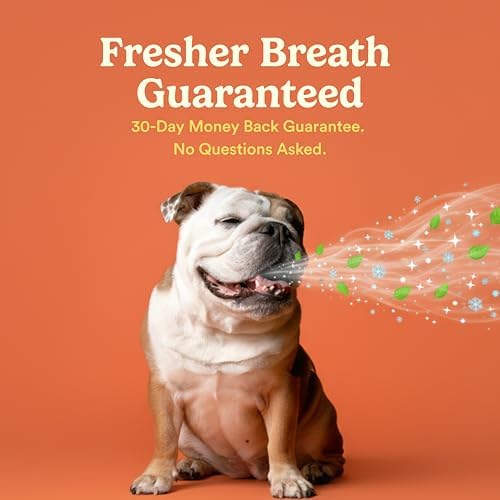 Jasper Dog Tooth Brushing Kit and Dog Toothpaste (Chicken) Kit 360 - Image 7