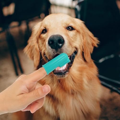 H&H Pets Dog Finger Toothbrushes - Professional Pet Finger Dental Brush Set for Dogs Puppies Cats, Soft Bristles, Size Small 4 Count-Silicon - Image 2