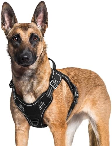 rabbitgoo Tactical Dog Harness for Large Dogs, No Pull Service Pet Vest by rabbitgoo