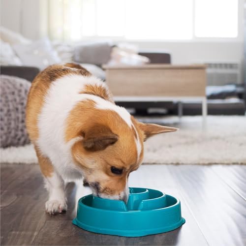 Outward Hound Fun Feeder Slo Bowl – Medium 2‑Cup Capacity, Slow Feeding, Small to Medium Dogs & Cats, Non-Slip, Turquoise, Drop Pattern - Image 6