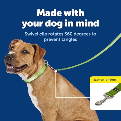 PetSafe Nylon Dog Leash - Strong, Durable, Traditional Style Leash with Easy to Use Bolt Snap - 3/4 in. x 6 ft., Apple Green - Image 3