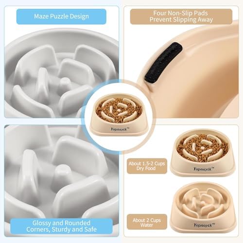 2 Pack Slow Feeder Dog Bowls for Medium Dogs & Cats - Image 3