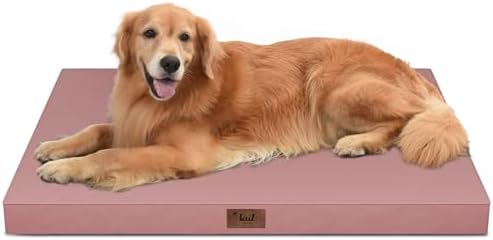 Waterproof Orthopedic Outdoor Dog Bed XL for Extra Large Dogs by TailStories