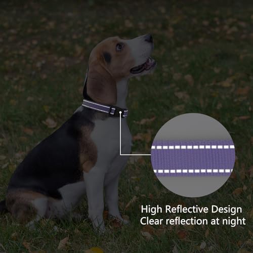 Reflective Dog Collar, Adjustable Nylon for Medium Dogs,Purple - Image 5