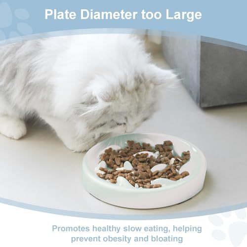 Slow Feeder Bowl for Cats and Small Dogs,Cilkus Fish Pool Design, Fun Interactive Bloat Stop Puzzle Feeder Bowl Healthy Eating Diet Made of Melamine Food Grade Material Dishwasher Safe (White) - Image 2