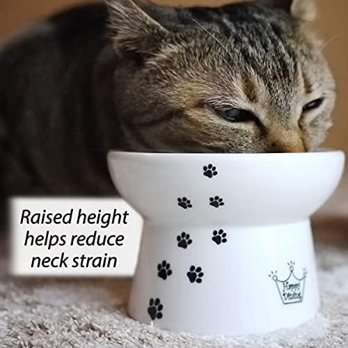 Necoichi Ceramic Elevated Cat Food & Water Bowl Set (Cats, Regular) - Image 2