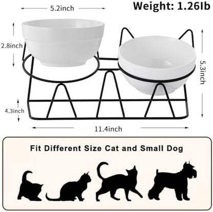 Elevated Cat Food Bowl,Ceramic Raised Water Bowl for Indoor Cats, 15°Tilted Metal Stand Anti Vomiting and Protect Spines,Whisker Fatigue Feeding Dishes,Non-slip and Dishwasher Safe - Image 5