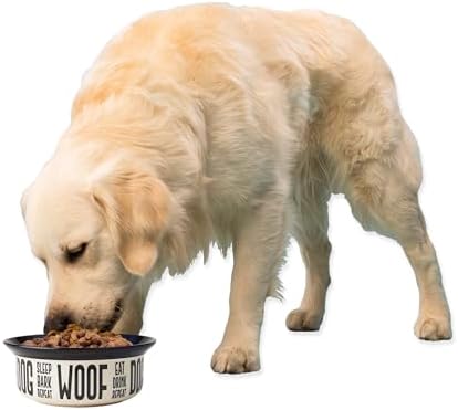 PetRageous 17001 Eat Drink Repeat Two-Tone Stoneware Dishwasher Safe Dog Bowl 4-Cup 8.18-Inch Diameter 3-Inch Tall for Medium and Large Dogs and Cats, Off-White, (Pack of 1) - Image 6