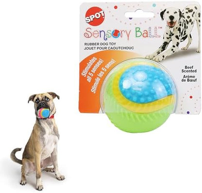SPOT Sensory Ball Dog Toy for Soft Chewers – 3.25-Inch Durable TPR Rubber Ball with Squeaker and Bell, Textured for Gentle Chewing, High-Contrast Colors for Indoor & Outdoor Fetch Play by SPOT