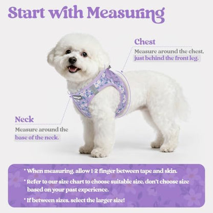 rabbitgoo Dog Harness Medium Sized and Leash Set, Step-in Puppy Pet Vest - Image 2