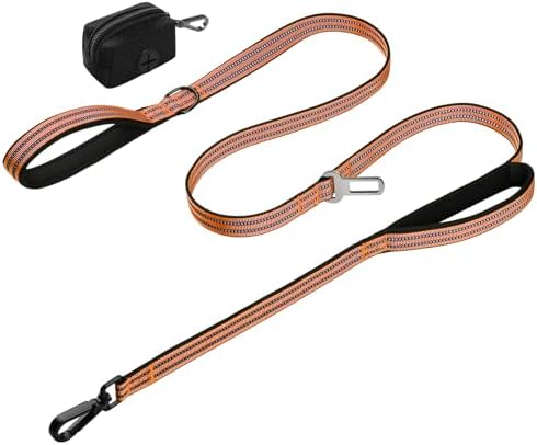 Double Handle Dog Leash with Poop Bag Holder and Car Seat Belt Buckle by WINGOIN