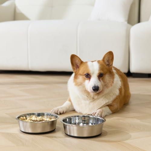 Dog Bowls Durable Non-Slip Stainless Steel Dog Bowls 2-Pack Holds 3 Cups - Image 6