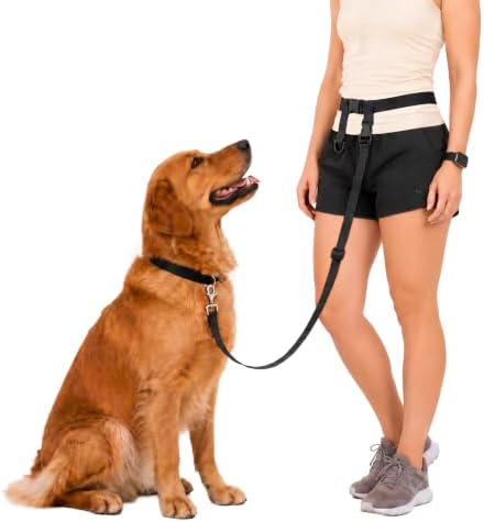 The Buddy System - Hands Free Dog Leash - Regular Dog, Large, Black by TheBuddySystem