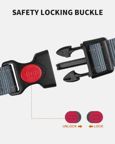 FunTags Martingale Dog Collar and Leash Set for Medium Dogs, Locking Buckle - Image 3