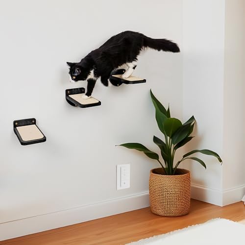 INICIO Cat Wall Steps, Set of 3, Black - Image 5