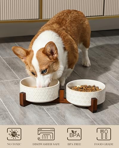 MALACASA Dog Bowl Set, Ceramic Bowls with Walnut Wood Stand, 4 Cups - Image 4