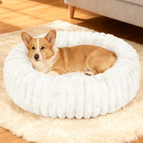 Washable Small Cat Dog Bed,Puppy Bed Cat Beds for Indoor Cats(White,M) by Unknown
