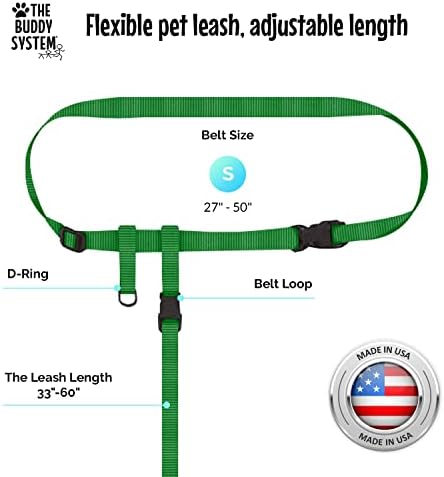 The Buddy System - Hands Free Dog Leash - Small Dog, Large Belt, Green - Image 3
