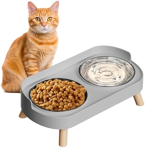 Elevated Cat Bowl, Raised Cat Food and Water Bowl Set for Indoor Cats, Splash Proof with 2 Stainless Steel Pet Food Bowls for Cats and Puppies, Whisker Fatigue and Dishwasher Safe - Grey by HIAIEVIY