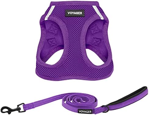Best Pet Supplies Voyager Step-in Air All Weather Mesh Harness and Reflective Dog 5ft Leash Combo with Neoprene Handle, for Small, Medium and Large Breed Puppies - Purple, Large by BestPetSuppliesLLC