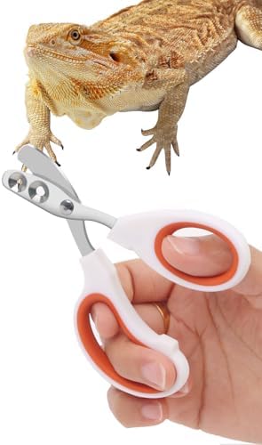 Stainless Steel Bearded Dragon Nail Clippers,Lizard Nail Clippers,Bearded Dragon Supplies,Bearded Dragon Nail Scissors for Small Reptiles,Turtle,Chameleon,Iguana，Hedgehog（Orange） by Engorgio
