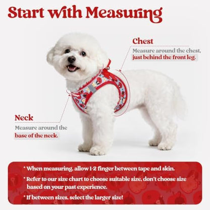 rabbitgoo Dog Harness Medium Sized and Leash Set, Step-in Puppy Pet Vest - Image 2