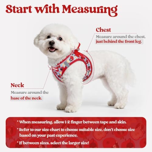 rabbitgoo Dog Harness Small Sized and Leash Set, Step-in Puppy Pet Vest - Image 2