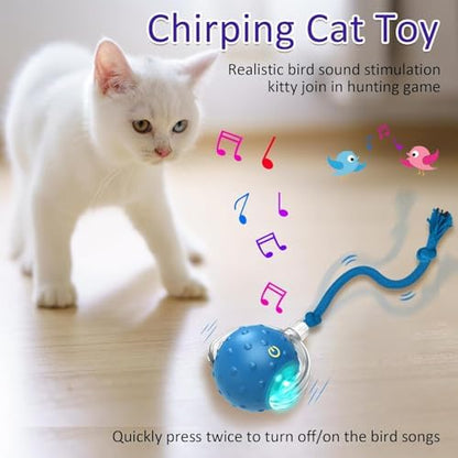 Interactive Cat Toys Ball for Indoor Cats (Blue) - Image 5