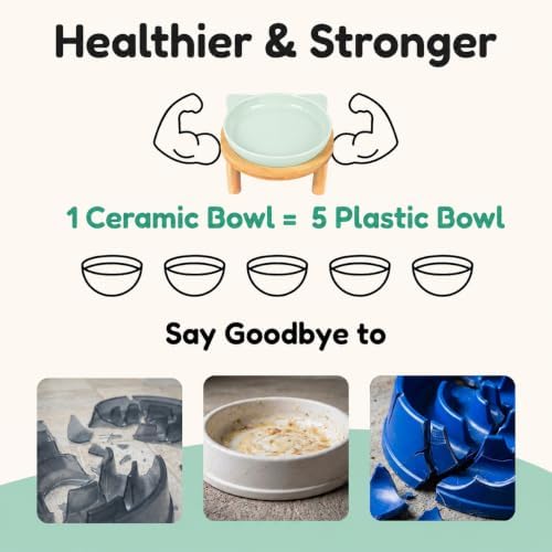 Elevated Ceramic Cat Bowls with Bamboo Stand for Cat Bowl, Whisker Friendly Shallow Cat Plate, Stable Raised Cat Food Riser for Indoor Cats (Green, Set of 1) - Image 6