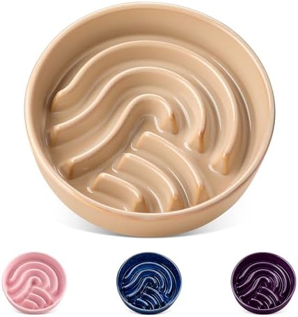 vancasso Slow Feeder Dog Bowl, 0.6 Cup Ceramic Slow Feeding Food Dish for Small Breed, Puzzle Dog Food Bowl for Fast Eater, Brown by vancasso