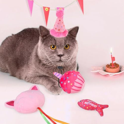 BINGPET Cat Birthday Decorations Outfit, 5 Pcs Catnip Toys for Indoor Cats - Image 6