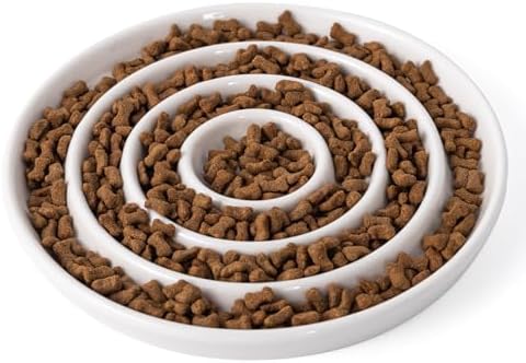 Ceramic Cat Slow Feeder,Shallow and Wide Opening Dish for Whisker Friendly by SLSON